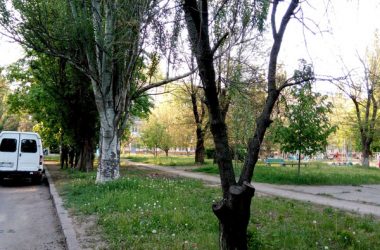 Правда про тотальну аварійність. Меру Миколаєва Сєнкевичу "розпил" мільйонів важливіше, ніж життя, здоров’я та майно миколаївців? | Корабелов.ИНФО image 5