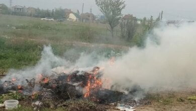 Корабельный район затянуло едким дымом с кладбищ | Корабелов.ИНФО
