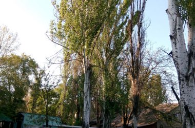 Правда про тотальну аварійність. Меру Миколаєва Сєнкевичу "розпил" мільйонів важливіше, ніж життя, здоров’я та майно миколаївців? | Корабелов.ИНФО image 6