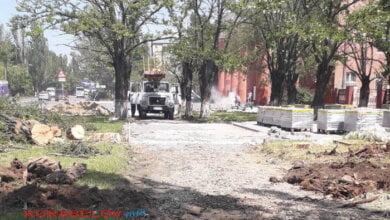 У ДК "Корабельный" рубят деревья - возмущены местные жители | Корабелов.ИНФО image 7