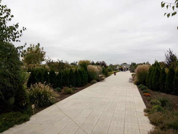 Парк в селі Тавричанка, як кричущий докор меру Сєнкевичу за «розпил» 88 мільйонів на бетонуванні площі Соборної в Миколаєві | Корабелов.ИНФО image 7