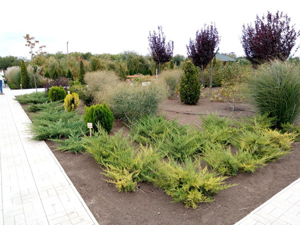 Парк в селі Тавричанка, як кричущий докор меру Сєнкевичу за «розпил» 88 мільйонів на бетонуванні площі Соборної в Миколаєві | Корабелов.ИНФО image 9