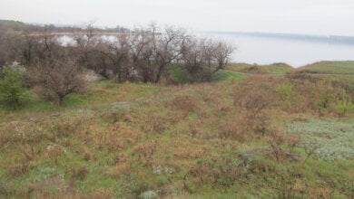 "Найдревніше поселення на Сіверсовому маяку": миколаївці намагаються захистити археологічну пам’ятку в Корабельному районі | Корабелов.ИНФО image 4