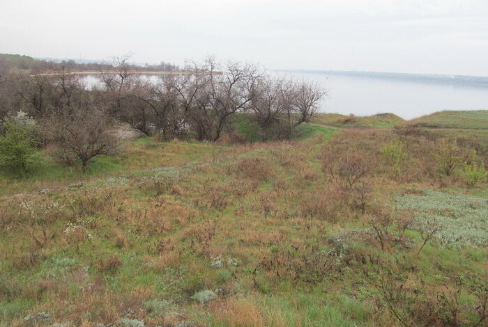 "Найдревніше поселення на Сіверсовому маяку": миколаївці намагаються захистити археологічну пам’ятку в Корабельному районі | Корабелов.ИНФО image 4