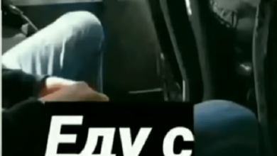 «Так делает только быдло»: в Николаеве показали пассажира маршрутки, бросающего шелуху от семечек в салон | Корабелов.ИНФО