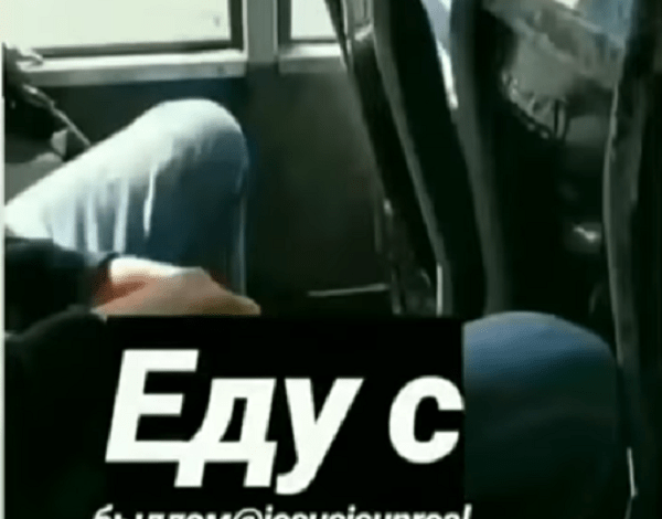 «Так делает только быдло»: в Николаеве показали пассажира маршрутки, бросающего шелуху от семечек в салон | Корабелов.ИНФО