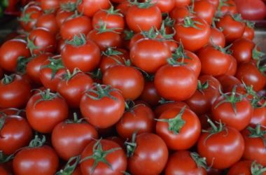 Зараженные помидоры попали и на Николаевщину. Из Турции в Украину завезли томаты с вредителем | Корабелов.ИНФО