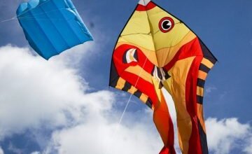 Большой пикник в Трихатах: под Николаевом проходит международный фест воздушных змеев | Корабелов.ИНФО