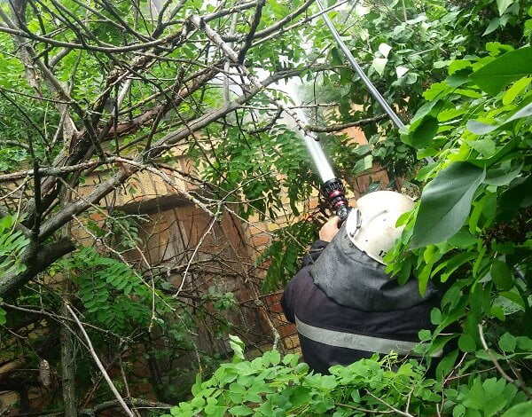 Рятувальники з Корабельного району ліквідували пожежу будинку в садово-виноградному товаристві | Корабелов.ИНФО