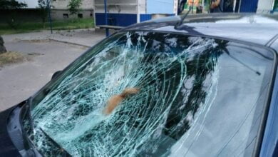 В Николаеве автомобиль насмерть сбил 17-летнюю студентку | Корабелов.ИНФО image 1