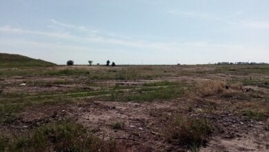 Ліквідація звалищ, вологе прибирання доріг... Як очищали Корабельний район з 27 по 31 травня | Корабелов.ИНФО