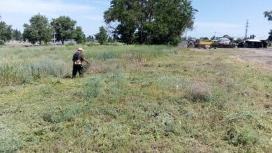 Косили траву, двічі прибиралися на зупинках... Про очищення Корабельного району з 3 по 7 червня | Корабелов.ИНФО image 4