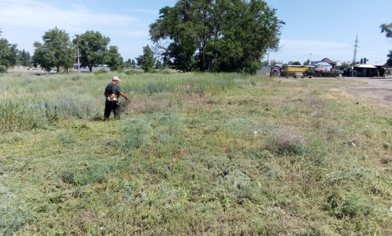 Косили траву, двічі прибиралися на зупинках... Про очищення Корабельного району з 3 по 7 червня | Корабелов.ИНФО image 4