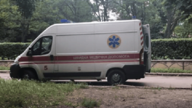 «На скорой сказали: вакцин нет». В Николаеве - очередной случай нападения "клипсованой" бродячей собаки на человека | Корабелов.ИНФО