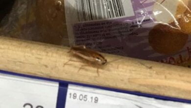 В Николаеве после столкновения с «Шевроле» «Фольксваген» перевернулся на крышу | Корабелов.ИНФО image 7