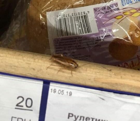 В Николаеве после столкновения с «Шевроле» «Фольксваген» перевернулся на крышу | Корабелов.ИНФО image 7