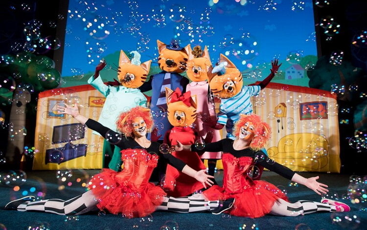 Впервые в Николаеве: «Шоу Три Кота: День варенья!» (ВИДЕО) | Корабелов.ИНФО image 4