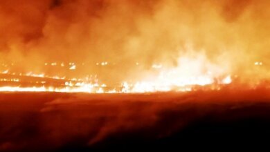 Балабановский лес подожгли сразу в трех местах | Корабелов.ИНФО