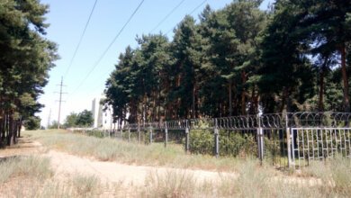 Приватизація та знищення лісу з профілакторієм "Океан" у Корабельному районі? Черговий злочин мерсько-депутатської банди | Корабелов.ИНФО image 1