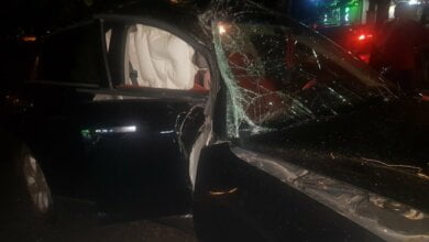 В Николаеве «Инфинити», уворачиваясь от столкновения со сворой собак, угодил в ДТП — пострадала женщина-пассажир | Корабелов.ИНФО image 1