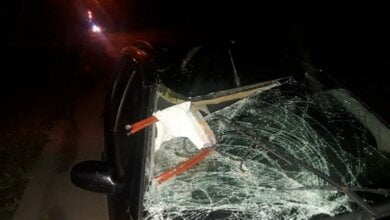 Водитель Ford Focus насмерть сбил 66-летнюю велосипедистку в Николаевской области | Корабелов.ИНФО