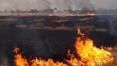 В Николаеве и области объявлена пожарная опасность наивысшего уровня | Корабелов.ИНФО
