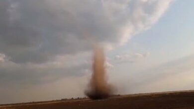 В Херсонской области пронесся смерч (видео) | Корабелов.ИНФО