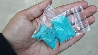 В Николаеве троих сотрудников налоговой милиции поймали с наркотиками и отпустили | Корабелов.ИНФО