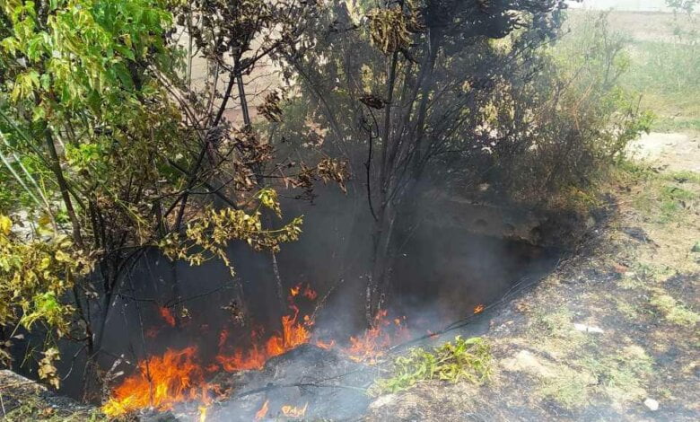 пожар на открытой территории