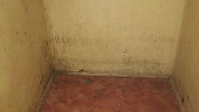 "Ездить в лифте с каждым днем все страшнее", - жители Корабельного района обеспокоены халатностью обслуживающего предприятия | Корабелов.ИНФО image 2