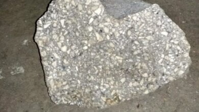 "Мальчик на улице в Корабельном районе убил камнем кота", - местные жители шокированы | Корабелов.ИНФО