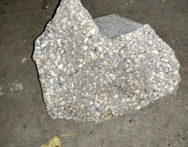 "Мальчик на улице в Корабельном районе убил камнем кота", - местные жители шокированы | Корабелов.ИНФО