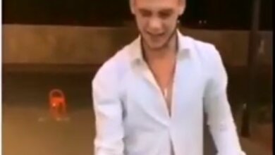 Пьяный школьник из Николаева в Болгарии пытался задушить живую чайку (видео) | Корабелов.ИНФО