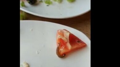 В кафе николаевского гипермаркета "Эпицентр" подали салат с живностью (видео) | Корабелов.ИНФО