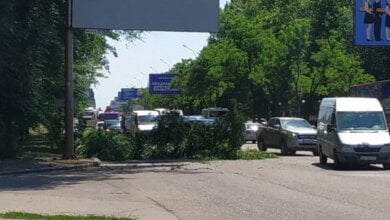 Возле заводоуправления «Зори»-«Машпроект» в Николаеве на проспект Богоявленский упала большая ветка, перегородив проезд | Корабелов.ИНФО image 2