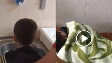 Мальчик, упавший в скейт-парке Корабельного района, потерял память (ВИДЕО) | Корабелов.ИНФО