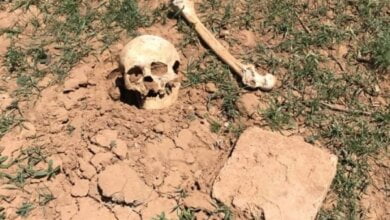 В Николаеве нашли человеческие останки – их отправили на судмедэкспертизу | Корабелов.ИНФО