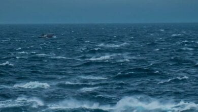 В оккупированном Крыму утонули две лучшие кикбоксерши мира | Корабелов.ИНФО