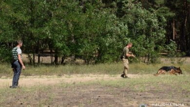 Пропавшую в лесу под Николаевом девочку помог найти Барон | Корабелов.ИНФО