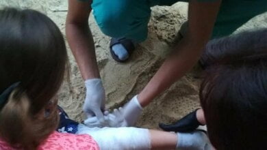 В Николаеве на детской площадке ребёнок порвал голень из-за штырей, замаскированных в песке | Корабелов.ИНФО image 2