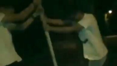 В Николаеве подростки ради забавы пытались выломать дорожный знак (видео 18+) | Корабелов.ИНФО