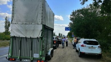 "Мы должны оплатить доставку 11 000 евро и таможне 40 000 грн": в Николаев приехал жираф | Корабелов.ИНФО