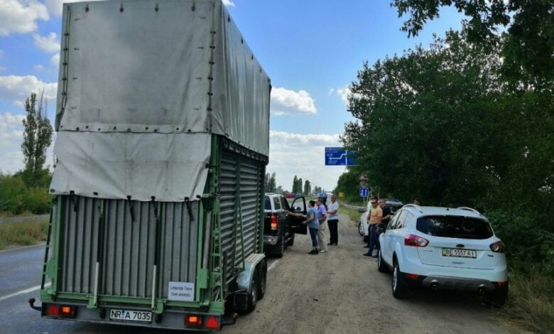 "Мы должны оплатить доставку 11 000 евро и таможне 40 000 грн": в Николаев приехал жираф | Корабелов.ИНФО