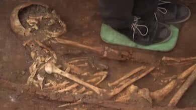 Под трассой «Кропивницкий-Николаев» нашли останки времен библейского Моисея (видео) | Корабелов.ИНФО image 2