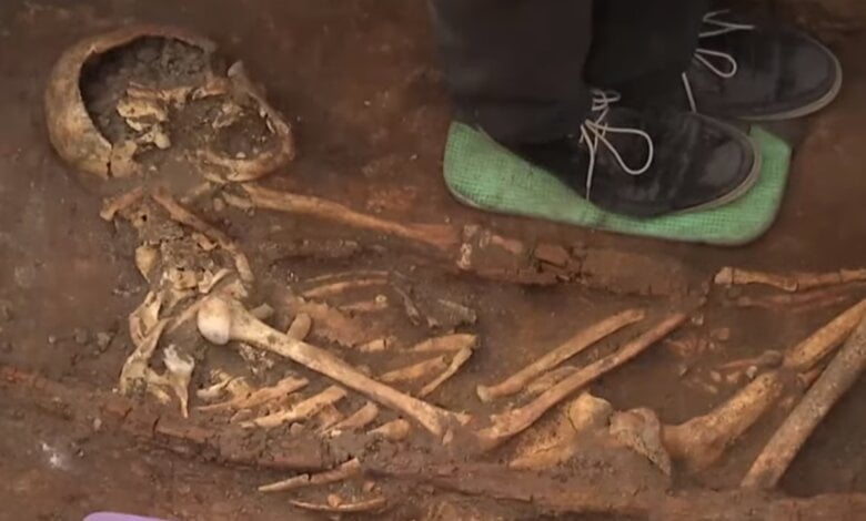 Под трассой «Кропивницкий-Николаев» нашли останки времен библейского Моисея (видео) | Корабелов.ИНФО image 2