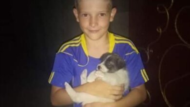 "Героями не рождаются": николаевские школьники спасли щенков в Корабельном районе | Корабелов.ИНФО