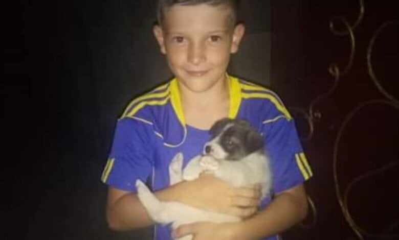 "Героями не рождаются": николаевские школьники спасли щенков в Корабельном районе | Корабелов.ИНФО