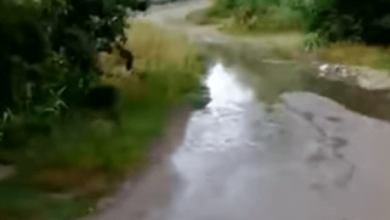 «Венеция каждый год после большого дождя», - жительница Балабановки пожаловалась на бездействие властей | Корабелов.ИНФО