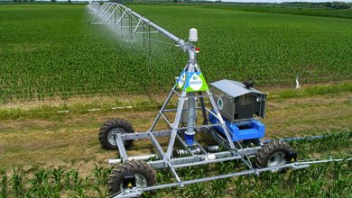 Cвязали охрану и забрали оборудование должника: нападение на фермерское хозяйство в Витовском районе | Корабелов.ИНФО