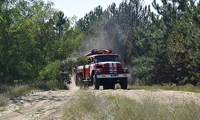 Пожар в Балабановском лесу: возгорания возникли одновременно в разных местах | Корабелов.ИНФО